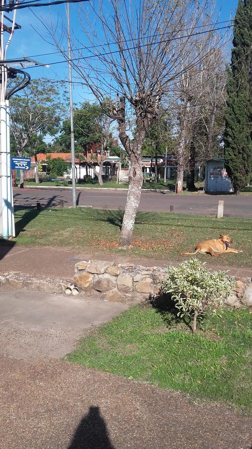 Brisas Del Rio Apart Hotel Termas del Daymán Eksteriør bilde